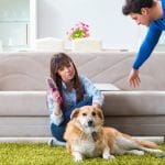 Köpek Sahipleri için Ev Temizlik Şirketi Önerileri